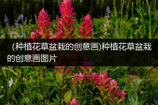 （种植花草盆栽的创意画)种植花草盆栽的创意画图片
