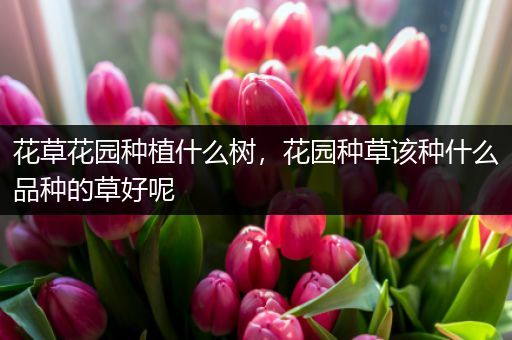 花草花园种植什么树，花园种草该种什么品种的草好呢