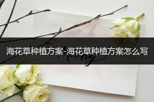 海花草种植方案-海花草种植方案怎么写