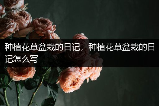种植花草盆栽的日记，种植花草盆栽的日记怎么写