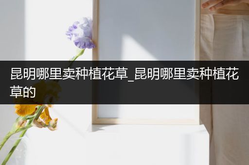 昆明哪里卖种植花草_昆明哪里卖种植花草的