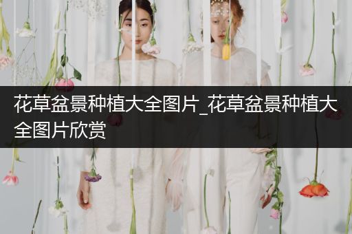 花草盆景种植大全图片_花草盆景种植大全图片欣赏