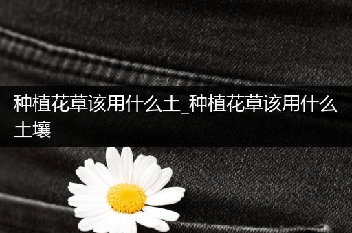 种植花草该用什么土_种植花草该用什么土壤