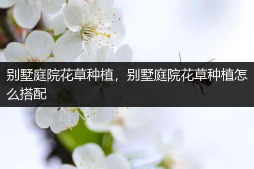 别墅庭院花草种植，别墅庭院花草种植怎么搭配