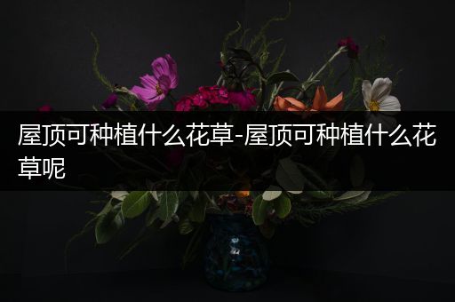 屋顶可种植什么花草-屋顶可种植什么花草呢