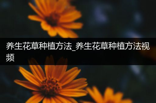 养生花草种植方法_养生花草种植方法视频