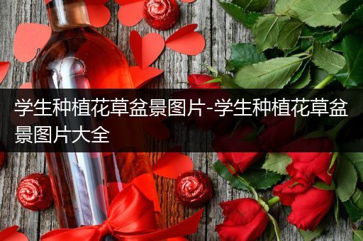 学生种植花草盆景图片-学生种植花草盆景图片大全