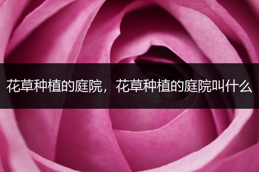 花草种植的庭院，花草种植的庭院叫什么