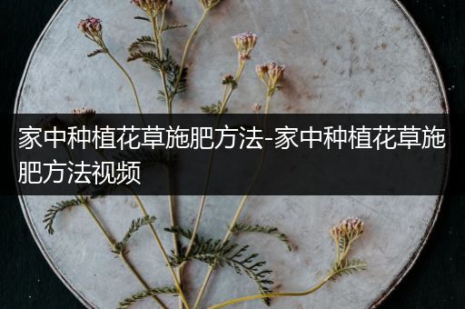 家中种植花草施肥方法-家中种植花草施肥方法视频