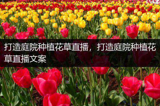 打造庭院种植花草直播，打造庭院种植花草直播文案