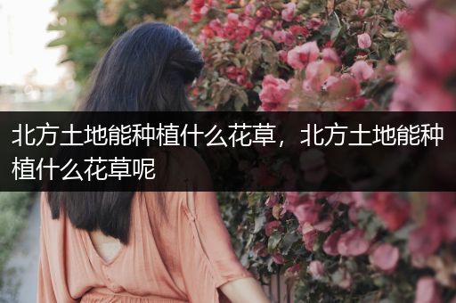 北方土地能种植什么花草，北方土地能种植什么花草呢