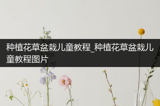 种植花草盆栽儿童教程_种植花草盆栽儿童教程图片