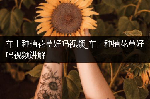 车上种植花草好吗视频_车上种植花草好吗视频讲解