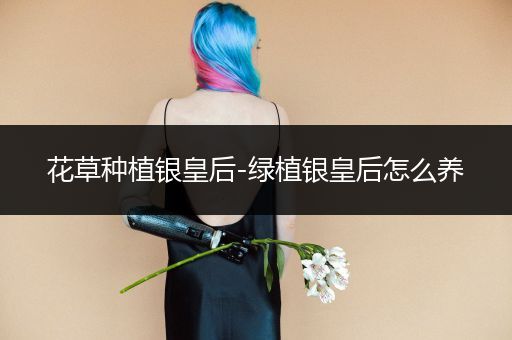 花草种植银皇后-绿植银皇后怎么养