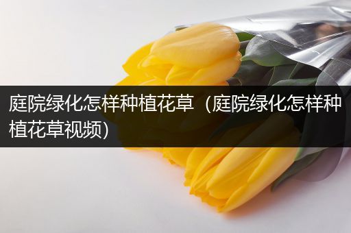 庭院绿化怎样种植花草（庭院绿化怎样种植花草视频）