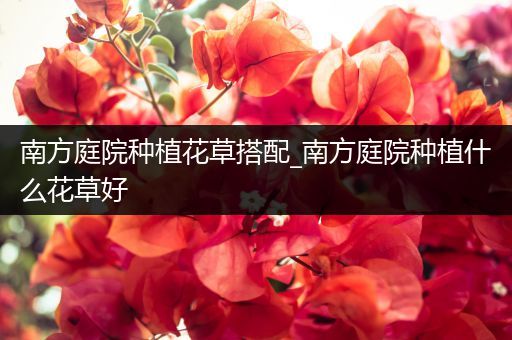 南方庭院种植花草搭配_南方庭院种植什么花草好