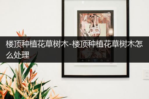 楼顶种植花草树木-楼顶种植花草树木怎么处理