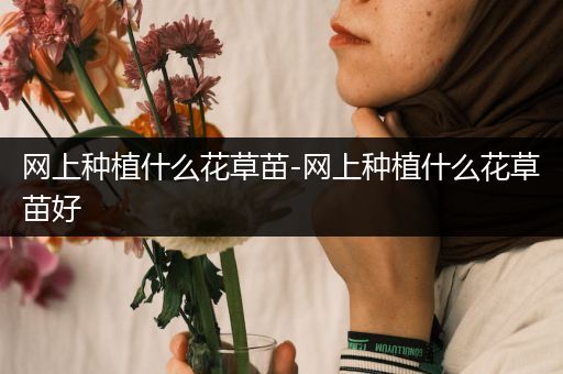网上种植什么花草苗-网上种植什么花草苗好