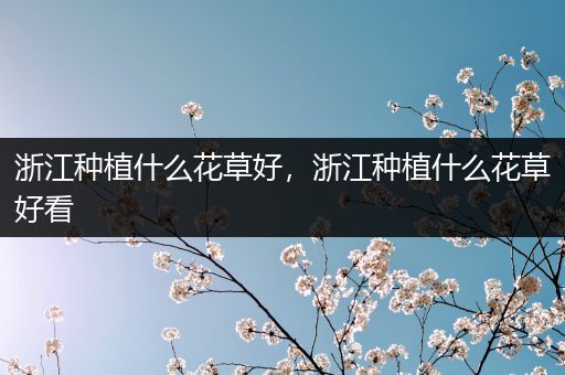浙江种植什么花草好，浙江种植什么花草好看