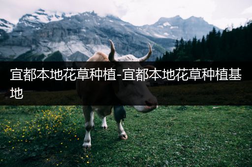宜都本地花草种植-宜都本地花草种植基地