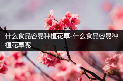 什么食品容易种植花草-什么食品容易种植花草呢