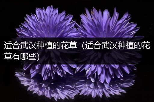 适合武汉种植的花草（适合武汉种植的花草有哪些）