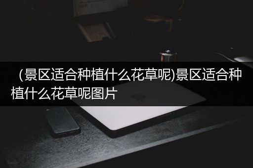 （景区适合种植什么花草呢)景区适合种植什么花草呢图片