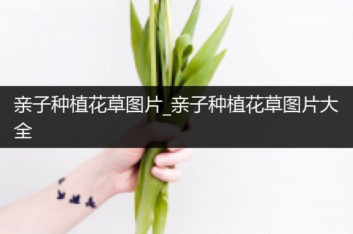 亲子种植花草图片_亲子种植花草图片大全