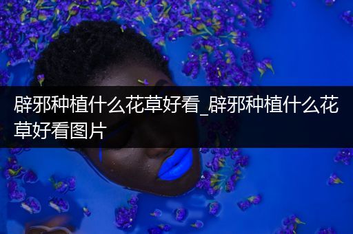 辟邪种植什么花草好看_辟邪种植什么花草好看图片