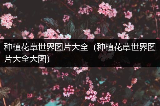 种植花草世界图片大全（种植花草世界图片大全大图）