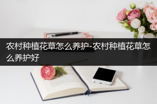 农村种植花草怎么养护-农村种植花草怎么养护好