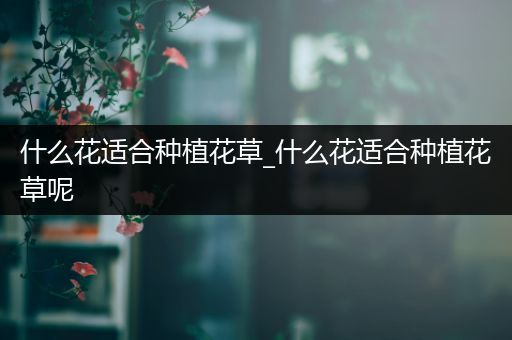 什么花适合种植花草_什么花适合种植花草呢