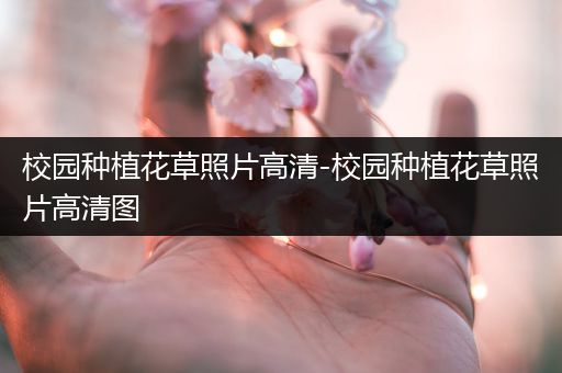 校园种植花草照片高清-校园种植花草照片高清图