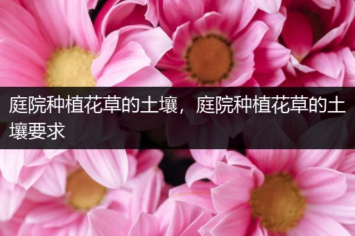 庭院种植花草的土壤，庭院种植花草的土壤要求