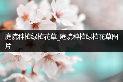 庭院种植绿植花草_庭院种植绿植花草图片