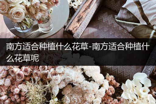 南方适合种植什么花草-南方适合种植什么花草呢