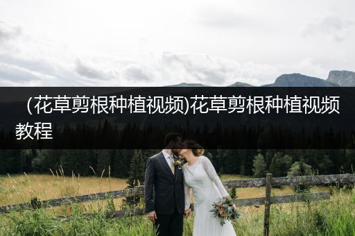 （花草剪根种植视频)花草剪根种植视频教程
