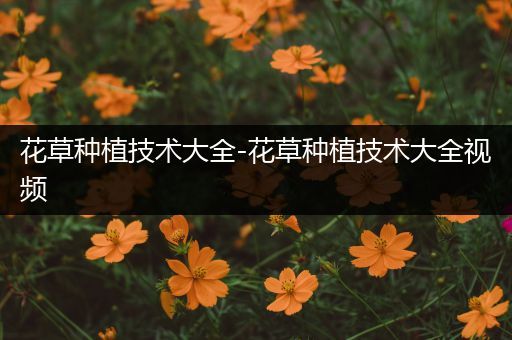 花草种植技术大全-花草种植技术大全视频