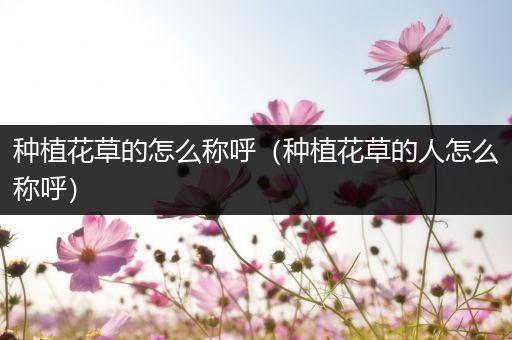 种植花草的怎么称呼（种植花草的人怎么称呼）