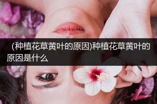 （种植花草黄叶的原因)种植花草黄叶的原因是什么