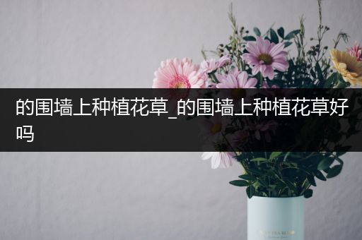 的围墙上种植花草_的围墙上种植花草好吗