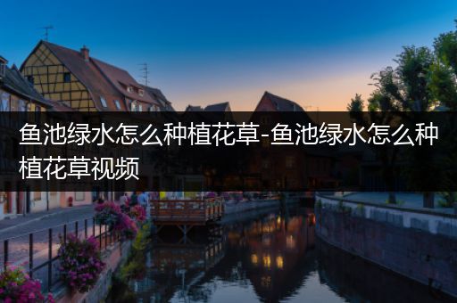 鱼池绿水怎么种植花草-鱼池绿水怎么种植花草视频