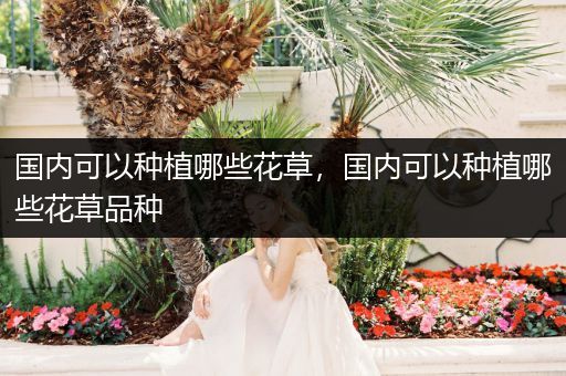 国内可以种植哪些花草，国内可以种植哪些花草品种