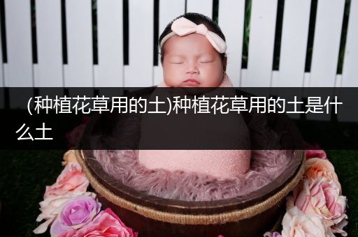 （种植花草用的土)种植花草用的土是什么土
