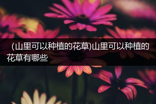 （山里可以种植的花草)山里可以种植的花草有哪些