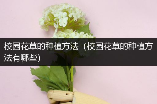 校园花草的种植方法（校园花草的种植方法有哪些）