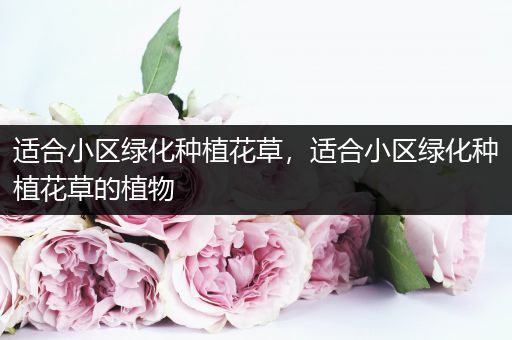 适合小区绿化种植花草，适合小区绿化种植花草的植物