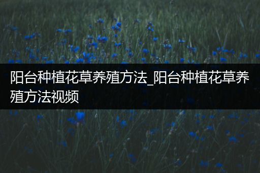 阳台种植花草养殖方法_阳台种植花草养殖方法视频