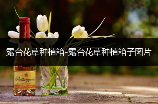 露台花草种植箱-露台花草种植箱子图片