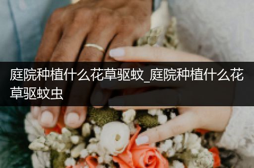 庭院种植什么花草驱蚊_庭院种植什么花草驱蚊虫